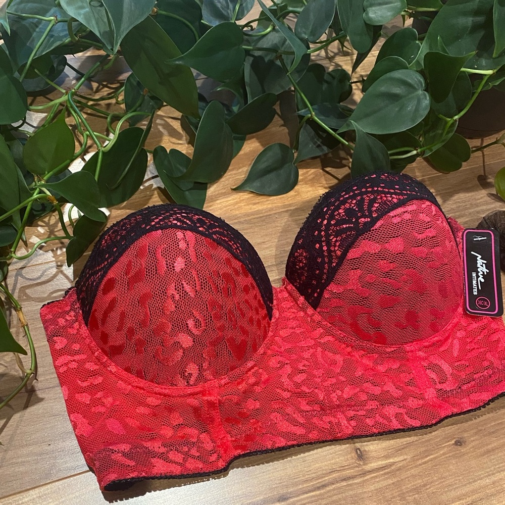 NWT 36C Bra